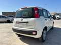 Fiat Panda 1.0 firefly hybrid s&s 70cv 5p.ti Bianco - thumbnail 11