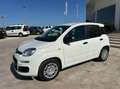 Fiat Panda 1.0 firefly hybrid s&s 70cv 5p.ti Bianco - thumbnail 6