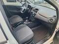 Fiat Punto 1.2 Street 5p E6 Bianco - thumbnail 5