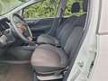 Fiat Punto 1.2 Street 5p E6 Bianco - thumbnail 10