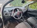 Fiat Punto 1.2 Street 5p E6 Bianco - thumbnail 9