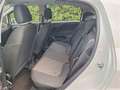 Fiat Punto 1.2 Street 5p E6 Bianco - thumbnail 7