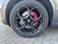 Alfa Romeo Stelvio V6 2.9 Bi-Turbo AT8-Q4 Quadrifoglio Grau - thumbnail 17