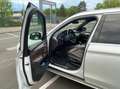 BMW X5 xDrive 50 i Beyaz - thumbnail 5