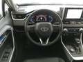 Toyota RAV 4 RAV4 2.5 Hybrid 4x4 Adventure BIG DEAL Grau - thumbnail 10