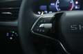 Skoda Kamiq 1.0 TSI Selection Neopatentati Grigio - thumbnail 20