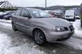 SEAT Ibiza Grau - thumbnail 11