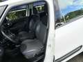 Fiat 500L 0.9 TwinAir Lounge Panodak, Navi, LM velgen,enz. Wit - thumbnail 11