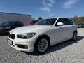 BMW 116 116d Advantage 5p auto Blanco - thumbnail 1