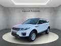 Land Rover Range Rover Evoque PURE°PANORAM°NAVI°KAMERA°SHZ° Blanc - thumbnail 3