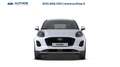 Ford Puma 1.0 ecoboost h Titanium 125cv Bianco - thumbnail 9