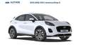 Ford Puma 1.0 ecoboost h Titanium 125cv Bianco - thumbnail 4