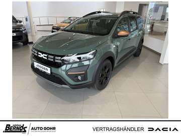 Hybrid 140 (7-Sitzer) Extreme PDC NAVI KLIMA