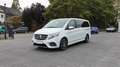Mercedes-Benz V 250 V250 AMG Lang LED StandHz 2x Schiebetür RCam AHK Bianco - thumbnail 3