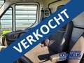 Iveco 35C16 35C16H 3.0 A8P Koelauto met koelvriesmachine bijela - thumbnail 11