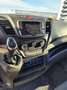Iveco 35C16 35C16H 3.0 A8P Koelauto met koelvriesmachine Blanc - thumbnail 10