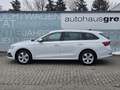 Skoda Octavia Combi 2,0 TDI Style DSG Blanc - thumbnail 5