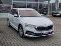 Skoda Octavia Combi 2,0 TDI Style DSG Blanc - thumbnail 2