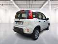 Fiat Panda 1.0 firefly hybrid s&s 70cv Wit - thumbnail 7
