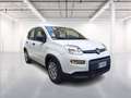 Fiat Panda 1.0 firefly hybrid s&s 70cv Wit - thumbnail 1