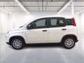 Fiat Panda 1.0 firefly hybrid s&s 70cv Wit - thumbnail 4