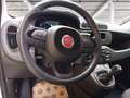 Fiat Panda 1.0 firefly hybrid s&s 70cv Wit - thumbnail 13