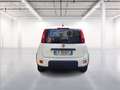Fiat Panda 1.0 firefly hybrid s&s 70cv Wit - thumbnail 6