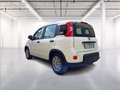 Fiat Panda 1.0 firefly hybrid s&s 70cv Wit - thumbnail 5