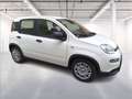 Fiat Panda 1.0 firefly hybrid s&s 70cv Wit - thumbnail 8