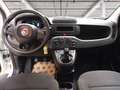 Fiat Panda 1.0 firefly hybrid s&s 70cv Wit - thumbnail 12
