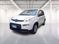 Fiat Panda 1.0 firefly hybrid s&s 70cv Wit - thumbnail 3