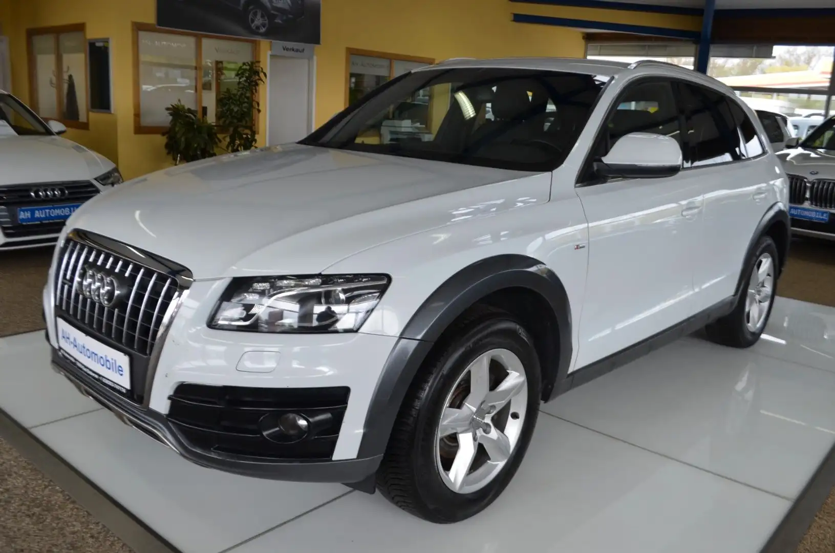 Audi Q5 2.0 TDI quattro S-LINE XENON / NAVI / LEDER Weiß - 1