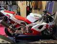 Yamaha YZF-R1 prima serie (sella rossa) Alb - thumbnail 3