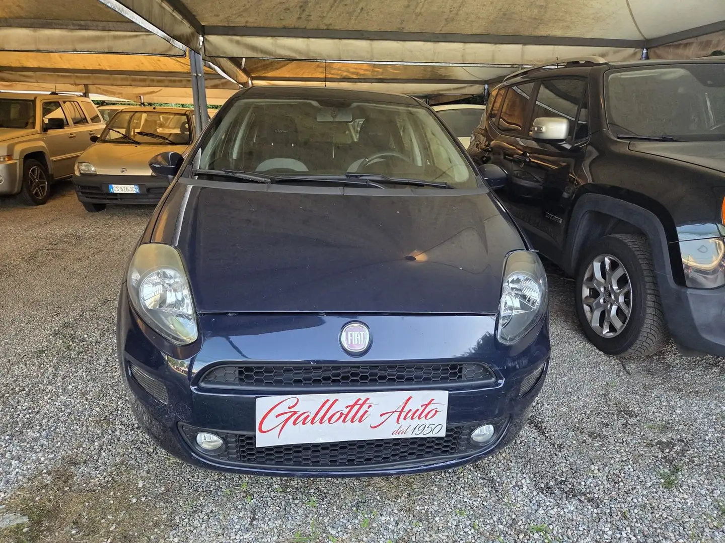 Fiat Punto 0.9 TwinAir Turbo S&S 5 porte Bleu - 2