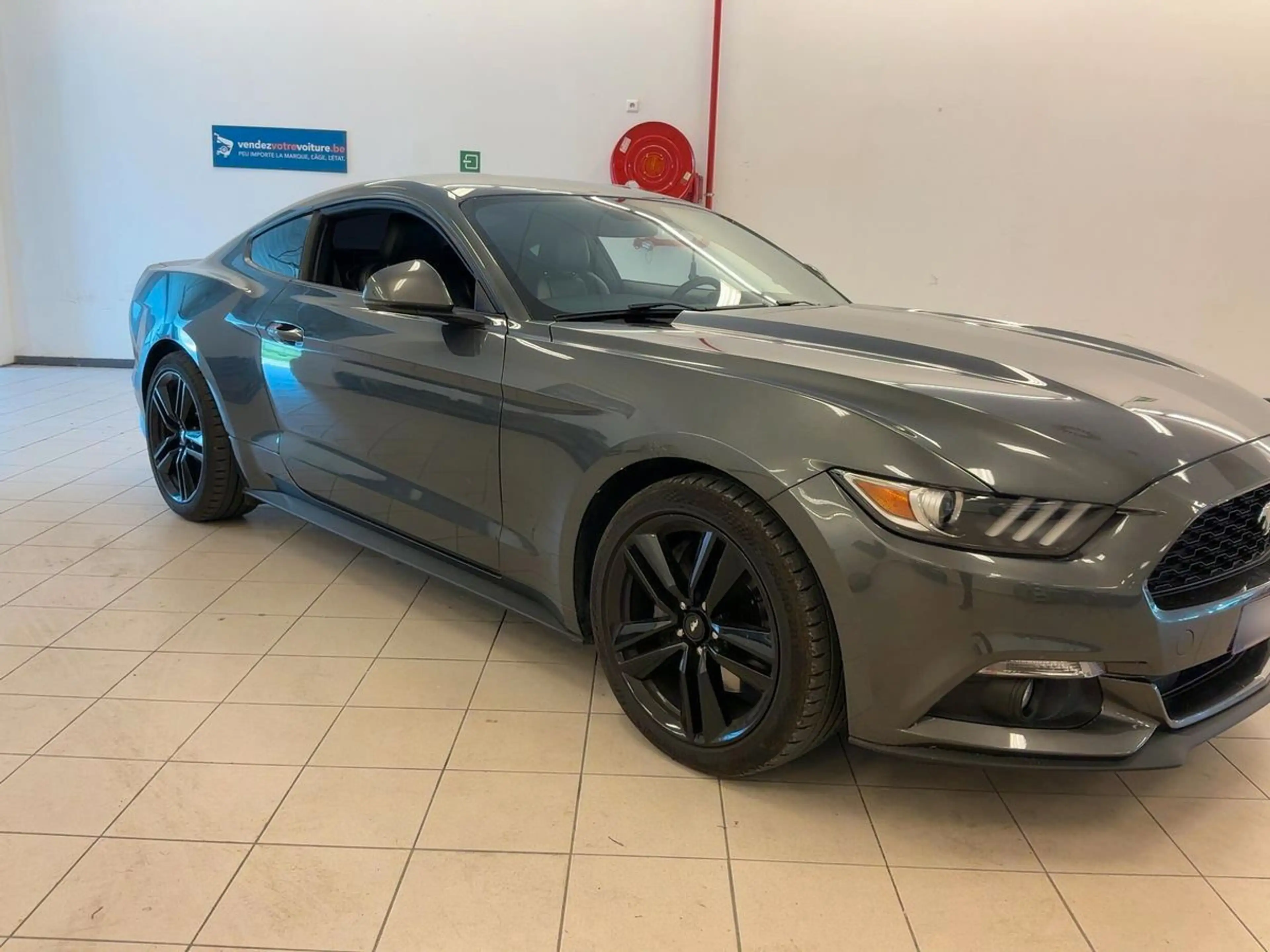 Ford Mustang 2.3 Fastback*Xenon*Navi*Sitzklima*Kamera