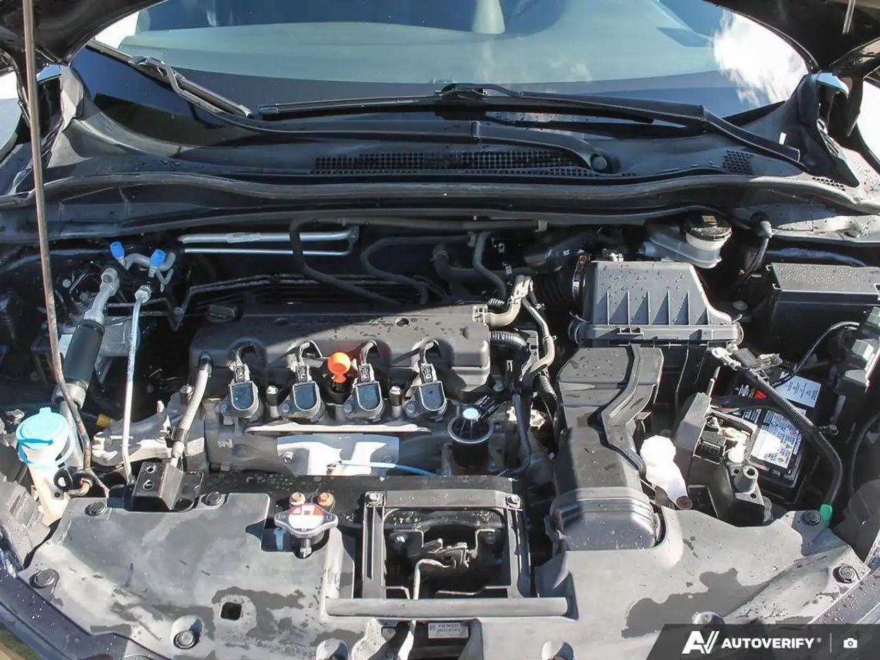 Honda HR-V photo Honda HR-V