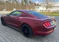 Ford Mustang Deportivo Manual de 3 Puertas Mauve - thumbnail 9