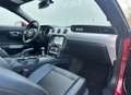 Ford Mustang Deportivo Manual de 3 Puertas Mauve - thumbnail 14