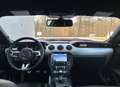 Ford Mustang Deportivo Manual de 3 Puertas Mauve - thumbnail 12