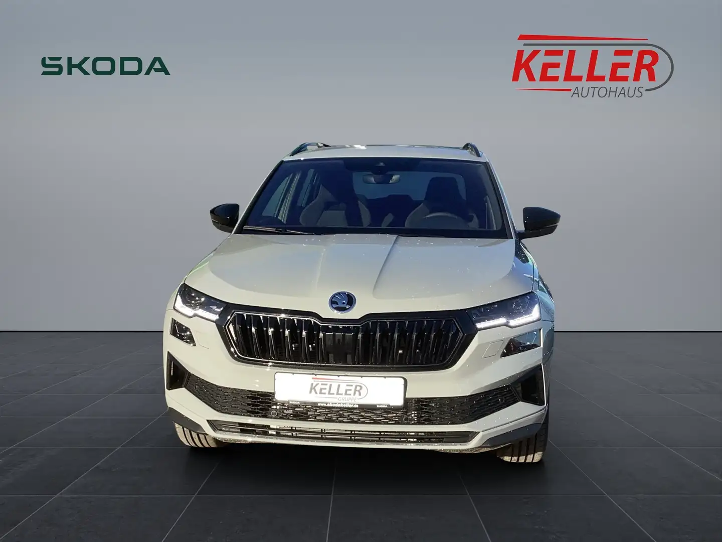 Skoda Karoq Karoq Sportline 1,5 TSI 110 kW 7-Gang-DSG Gris - 1