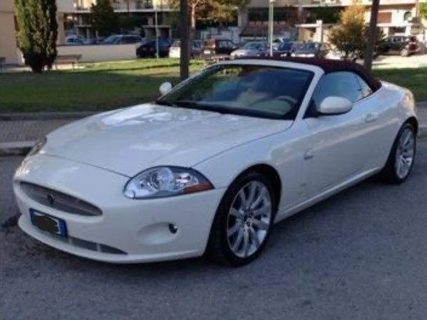 Jaguar XK Blanc - 1