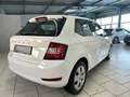 Skoda Fabia 1.0 MPI Active SHZ Klima PDC Freisprech Weiß - thumbnail 7