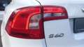 Volvo V60 D3 Momentum Aut. 150 Blanco - thumbnail 12