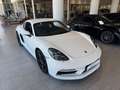 Porsche 718 718 2.0 Cayman PDK - IVA Esposta Weiß - thumbnail 12