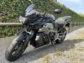 BMW K 1300 R Pot schnitzer - thumbnail 6