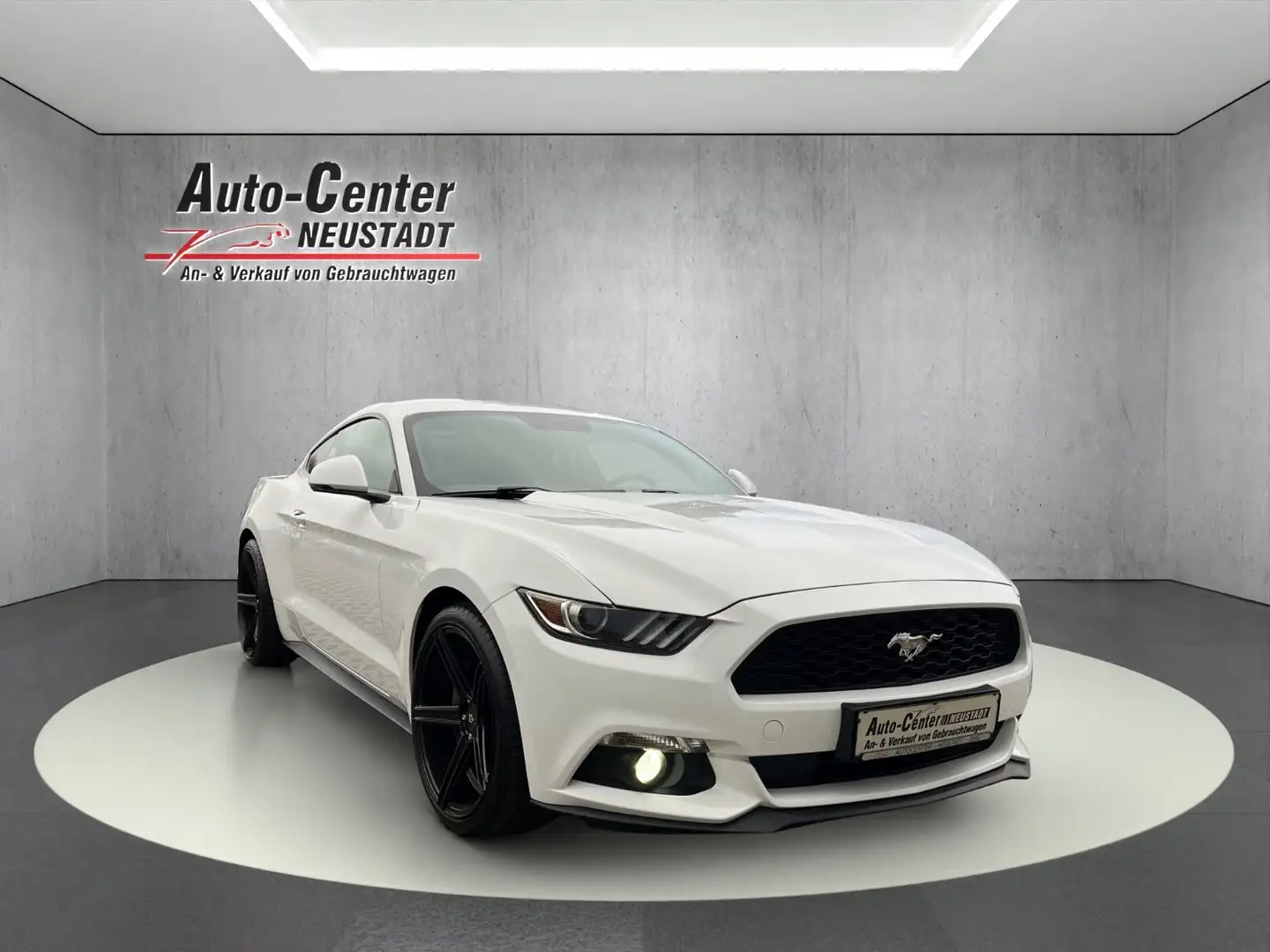 Ford Mustang Fastback KAMERA/DE KFZ/DAB+ Weiß - 1