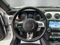 Ford Mustang Fastback KAMERA/DE KFZ/DAB+ Weiß - thumbnail 12