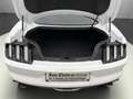 Ford Mustang Fastback KAMERA/DE KFZ/DAB+ Weiß - thumbnail 5