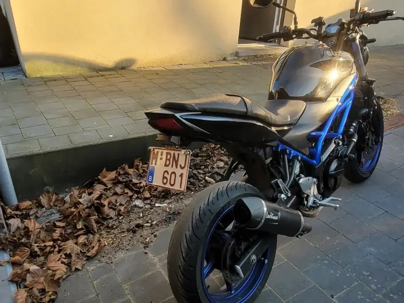 Suzuki SV 650 - foto 4
