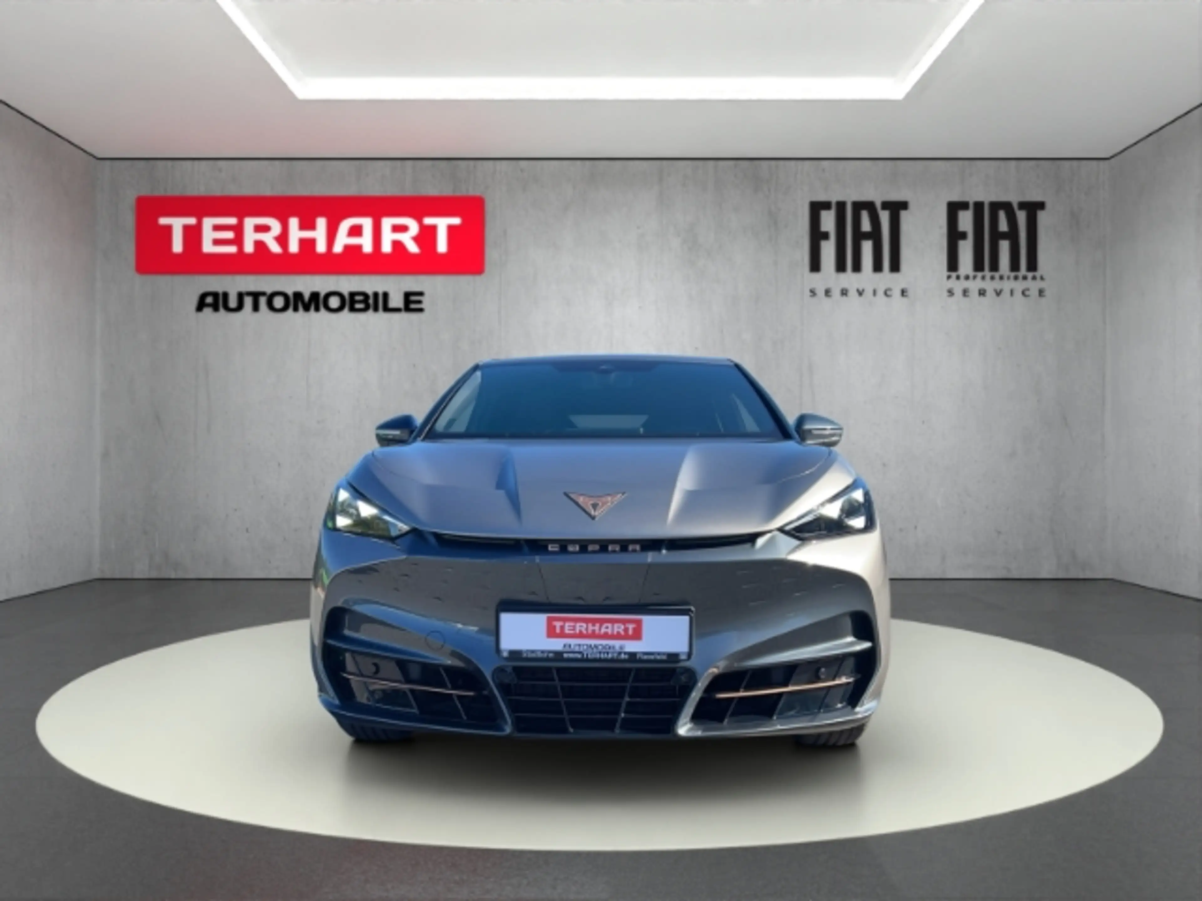 CUPRA Tavascan Endurance/LED/ACC/RFK/Apple&Android/Shz. — photo 5